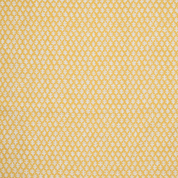 Burma Performance Fabric( Reversible) Gold