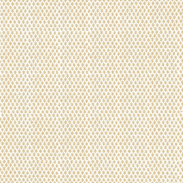 color-name:Beige
