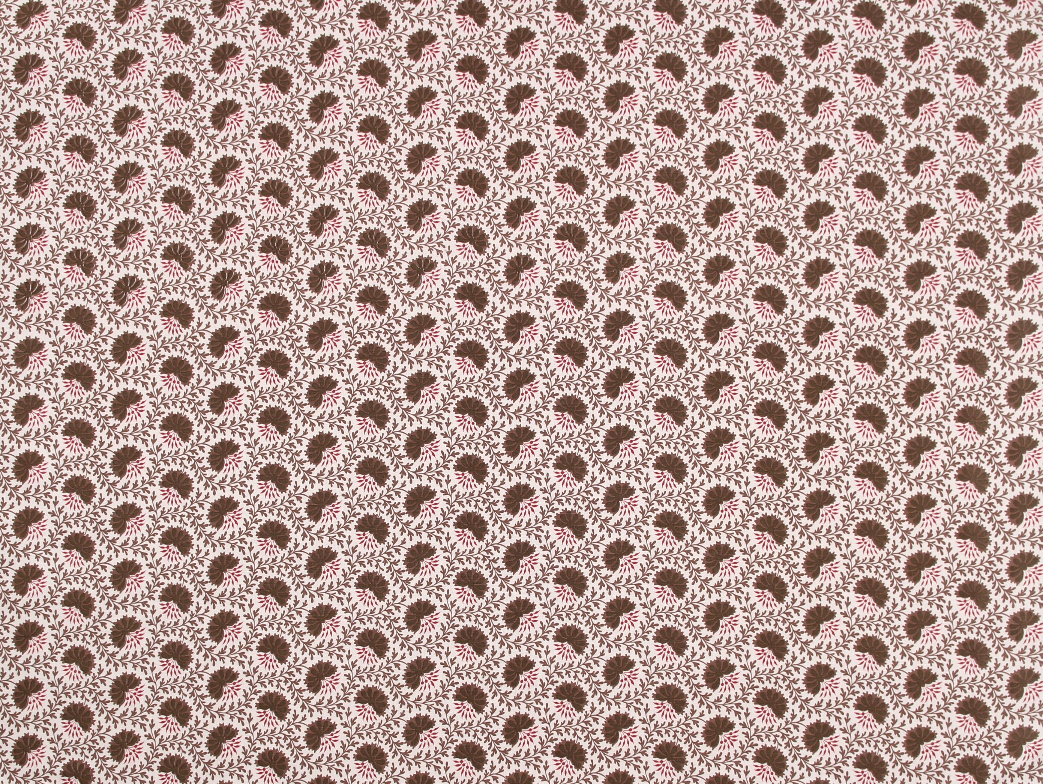 IMG_8013_Verbena_brown_red_edit.jpg
