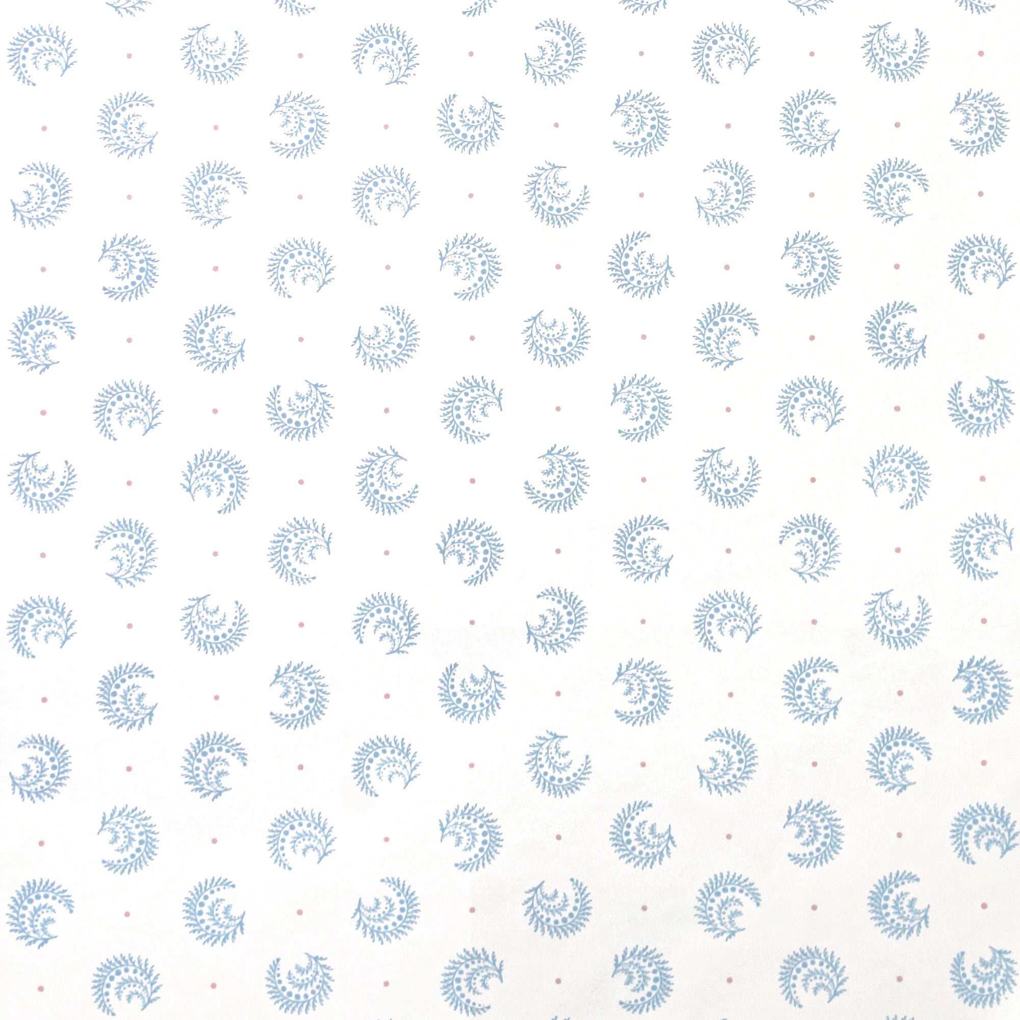 IMG_9084_edit_Desmond_pink_blue_wp3_SQUARE.jpg