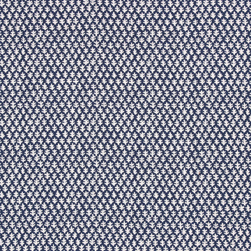 Burma Indigo color-name:Indigo