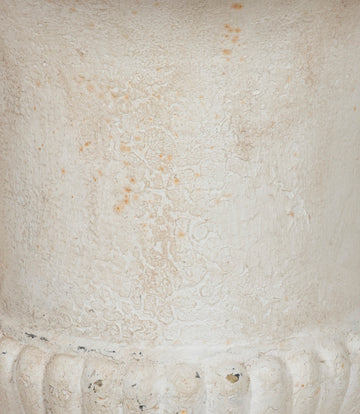 Pair of 19th Century French Cast Iron Campana Urns