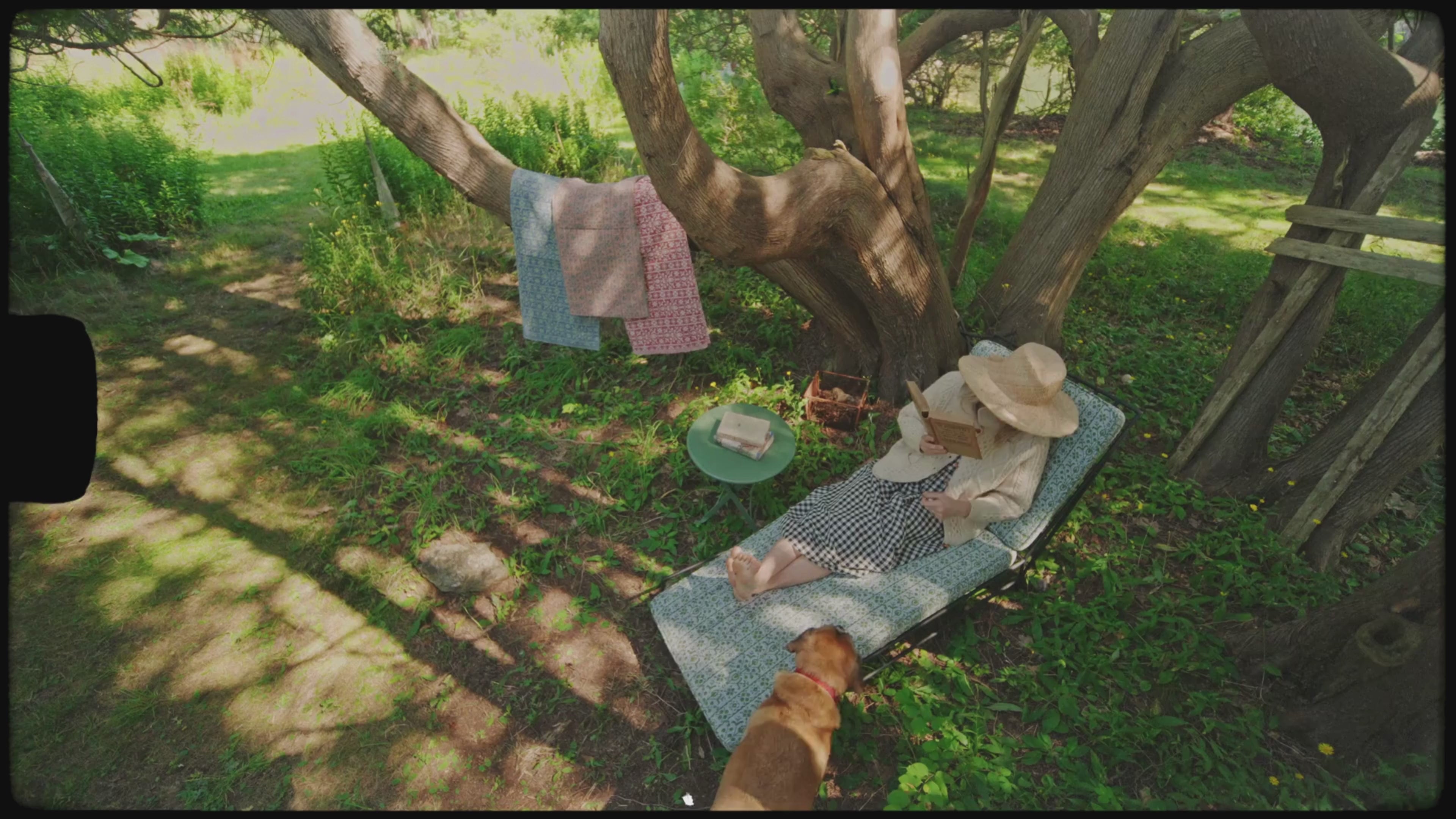 Mahalo Performance Fabric Sage Brush Green – Sister Parish