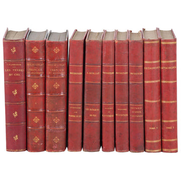 Set of Ten 19th Century French Red Leather Book Spines