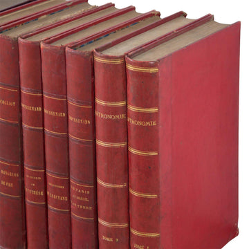 Set of Ten 19th Century French Red Leather Book Spines