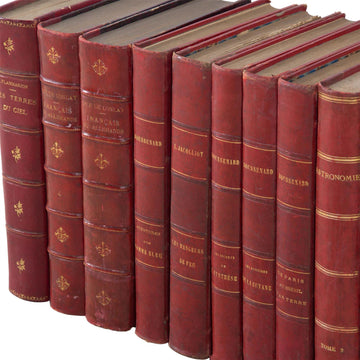 Set of Ten 19th Century French Red Leather Book Spines
