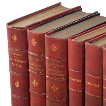 Set of Ten 19th Century French Red Leather Book Spines