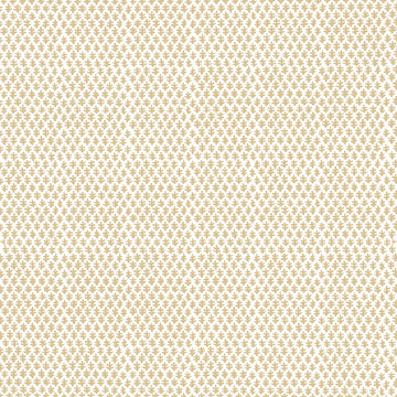 color-name:Beige