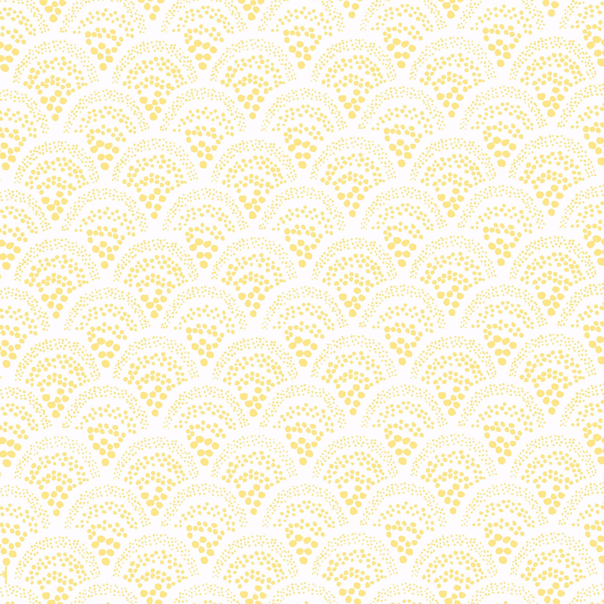 Chou Chou Wallpaper Yellow