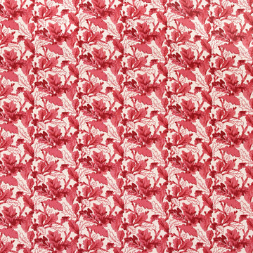 color-name:Coral