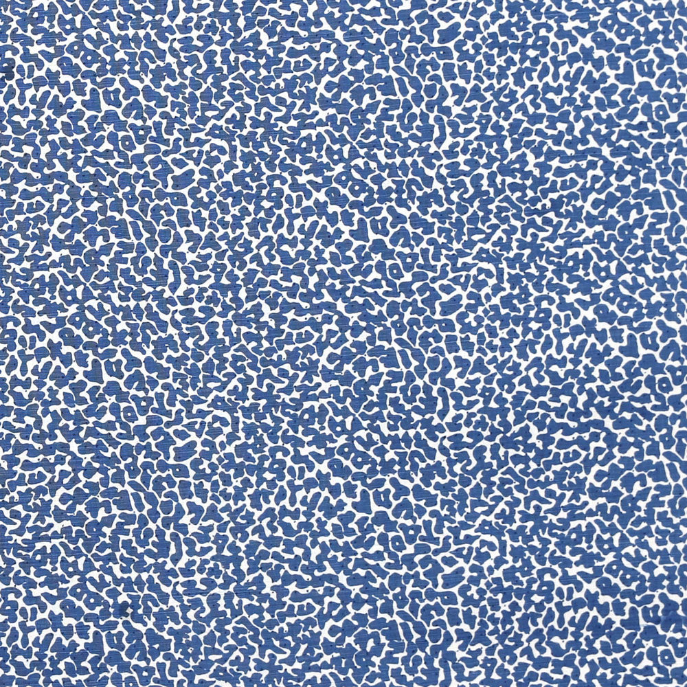 IMG_8819-edit-blue-SQUARE-WEB-1.jpg