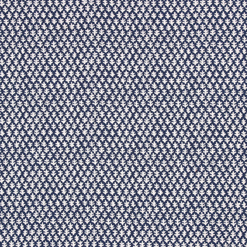 Burma Indigo color-name:Indigo